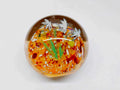 Vintage Art Glass Paperweight