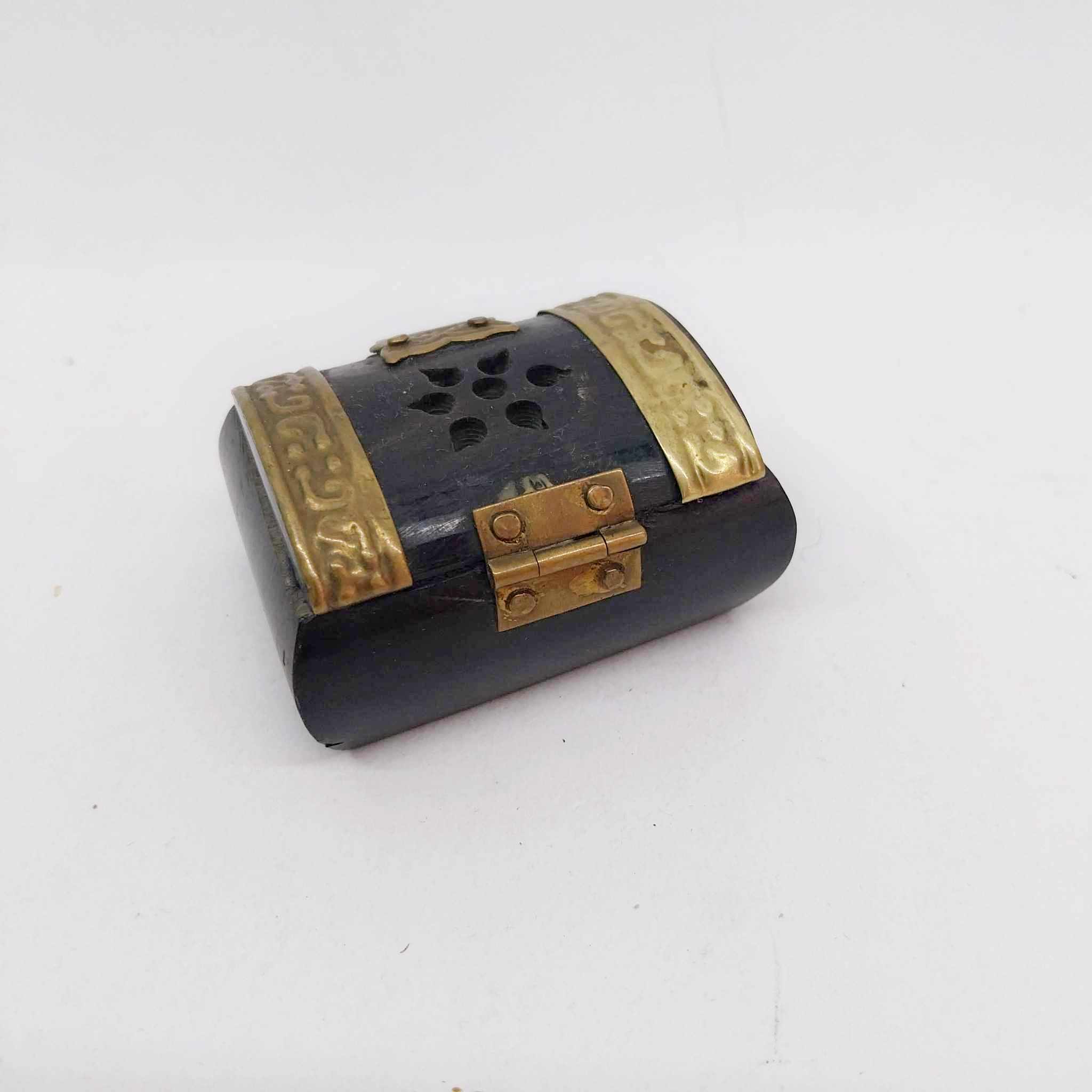 Vintage Bone & Brass Miniature Trinket Box with Lion Clasp