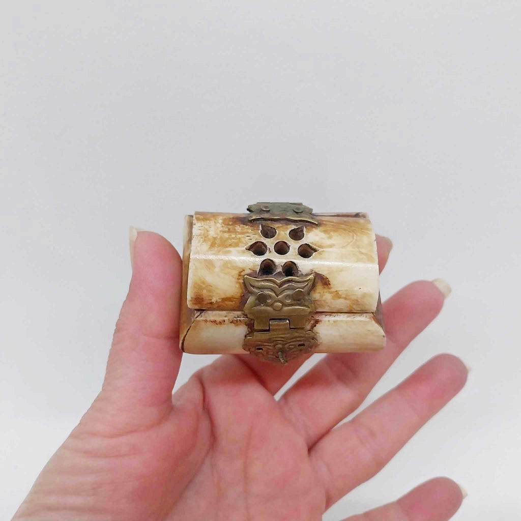 Vintage Natural Bone Jewelry Box with Brass Clasp