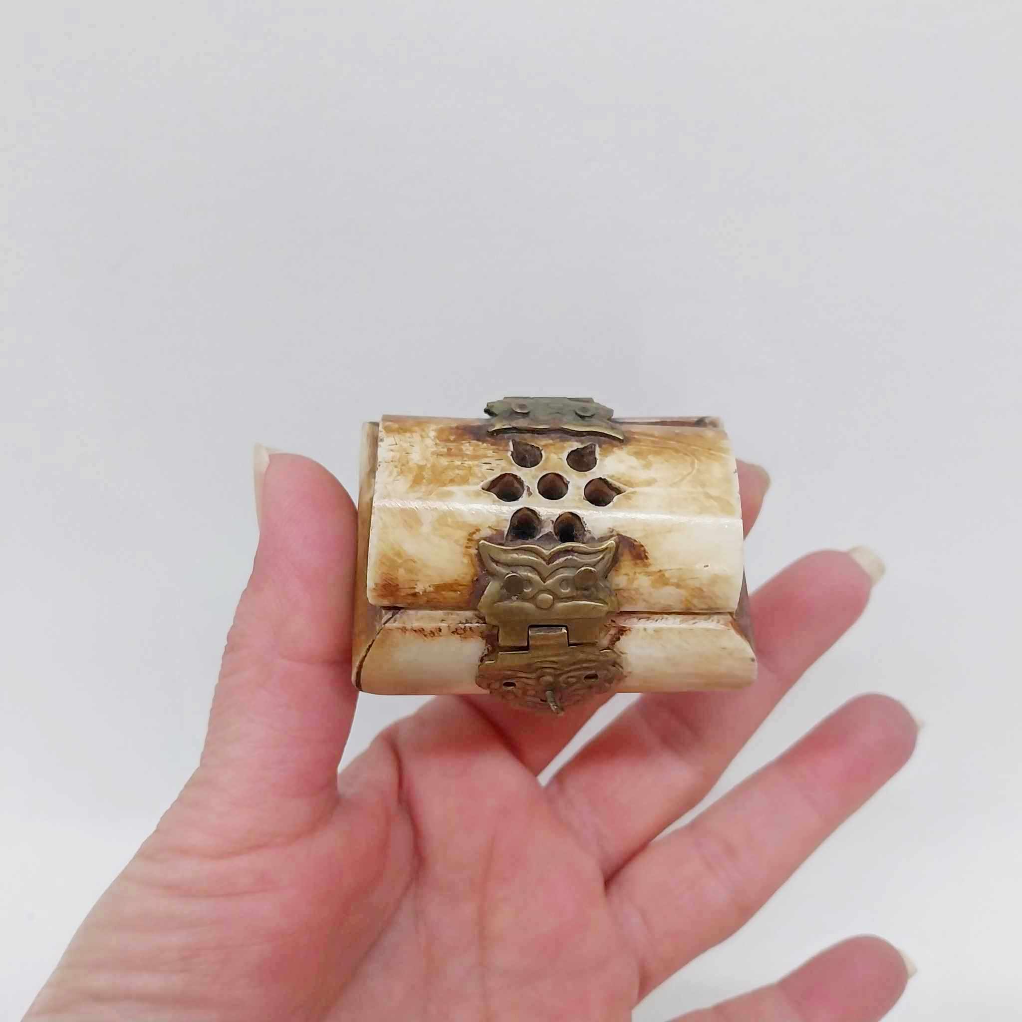 Vintage Natural Bone Jewelry Box with Brass Clasp