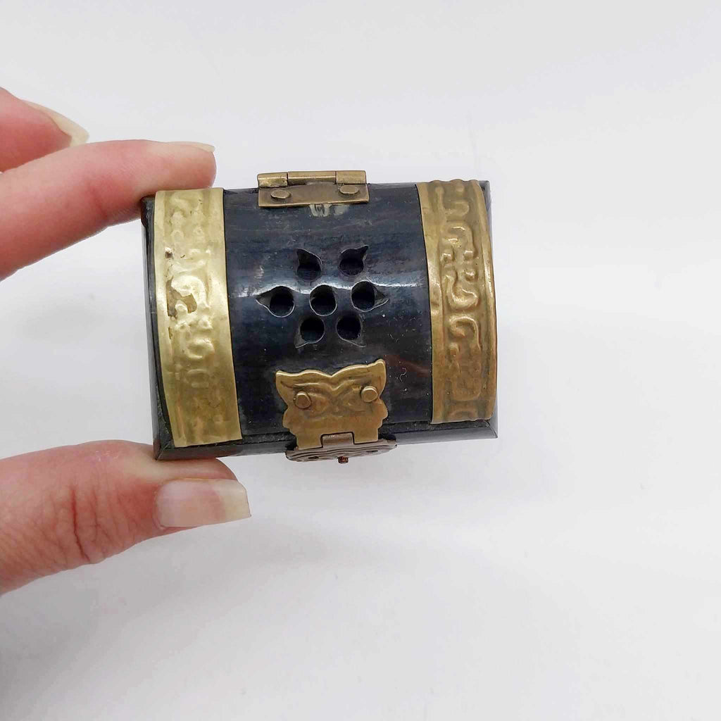 Vintage Bone & Brass Miniature Trinket Box with Lion Clasp