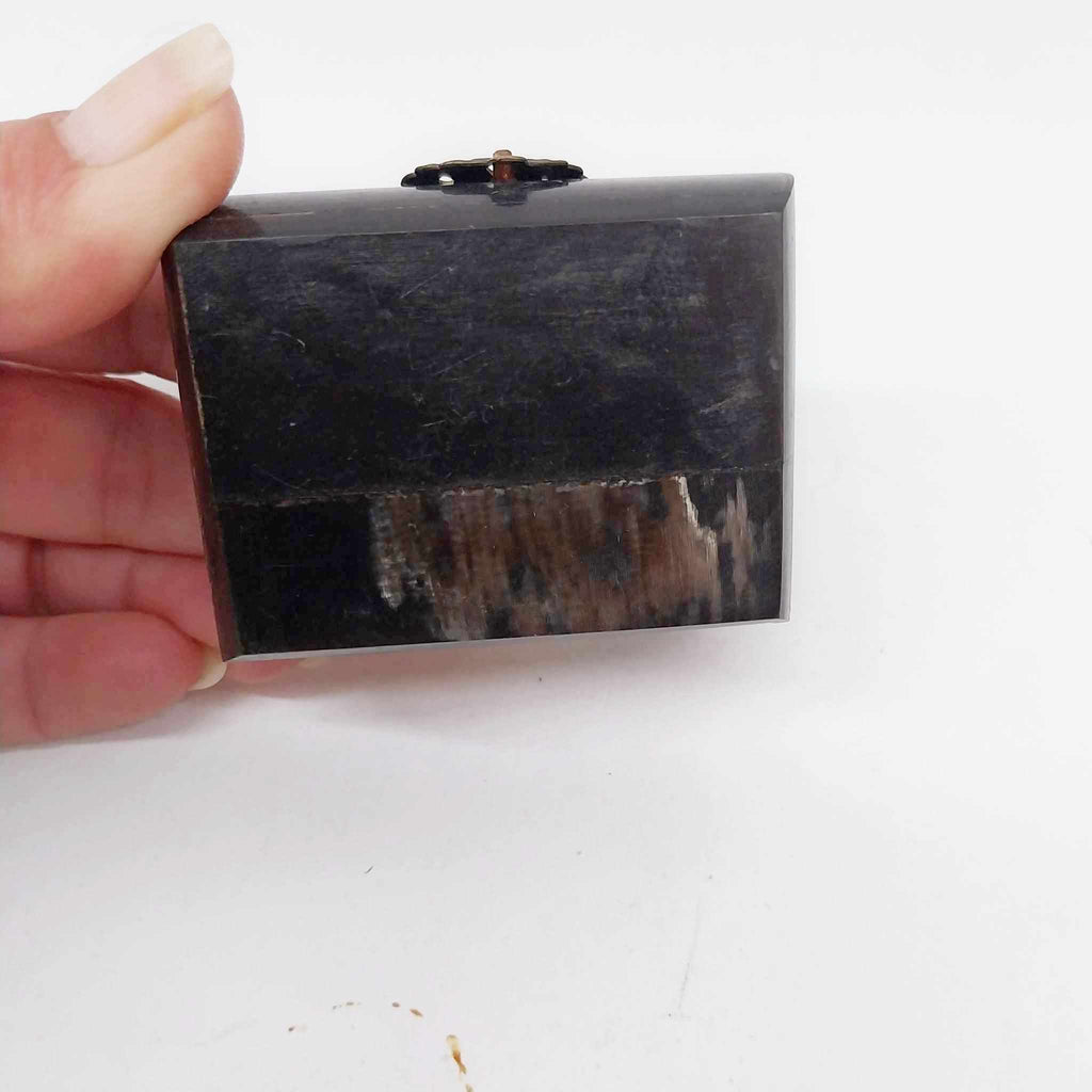 Vintage Bone & Brass Miniature Trinket Box with Lion Clasp