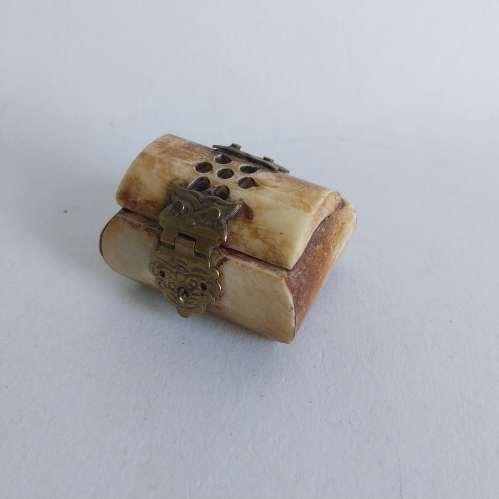 Vintage Natural Bone Jewelry Box with Brass Clasp