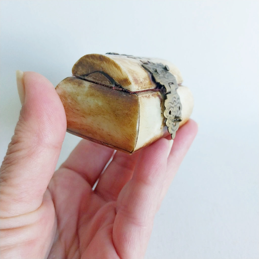 Vintage Natural Bone Jewelry Box with Brass Clasp