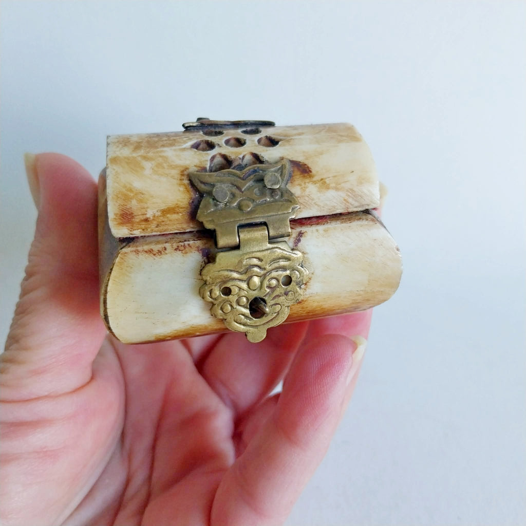 Vintage Natural Bone Jewelry Box with Brass Clasp